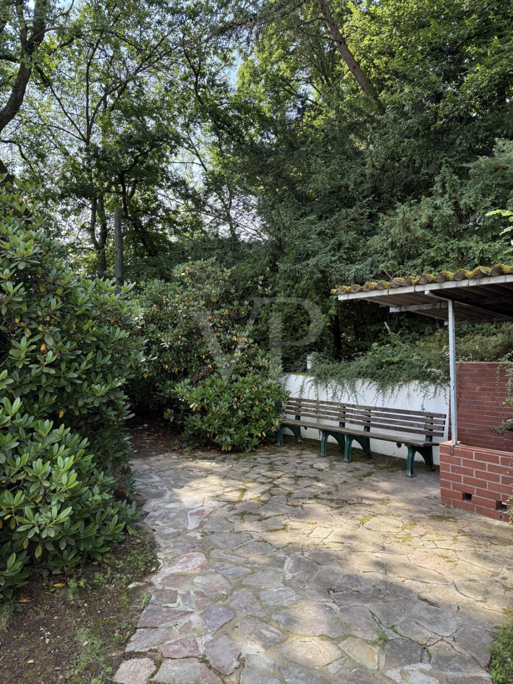 Blick in den Garten