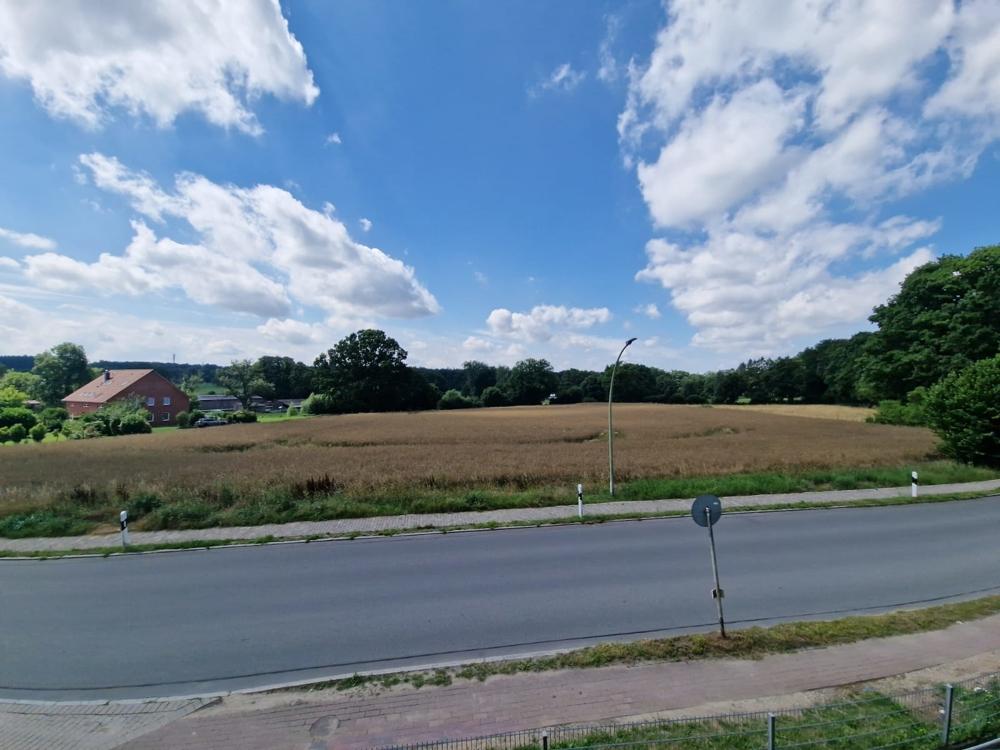 Ausblick aus dem Wozi auf´s Feld!