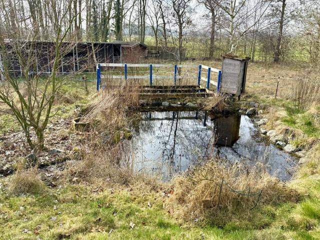 Gartenteich
