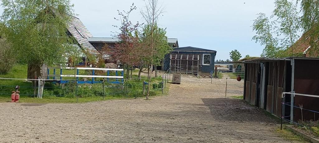 Blick auf das Gartenhaus (im Sommer)