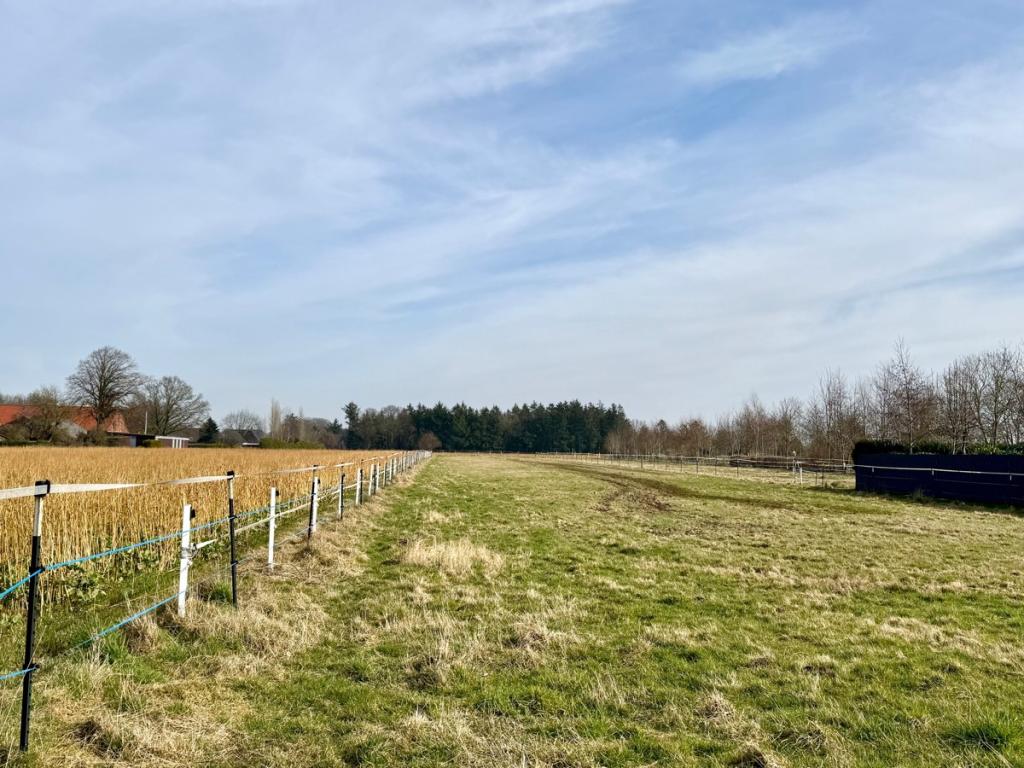 Blick auf die pachtbare Weidefläche (gegenüber des Anwesens) 1 Hektar