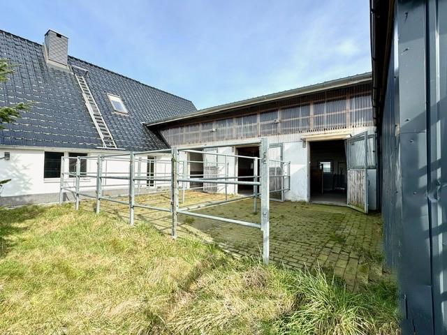 Blick auf die drei Stallvorplätze (Paddockauslauf))