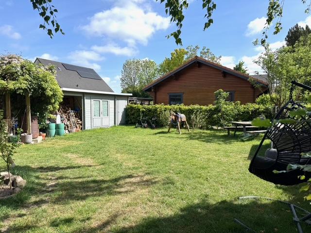 Gartenimpressionen