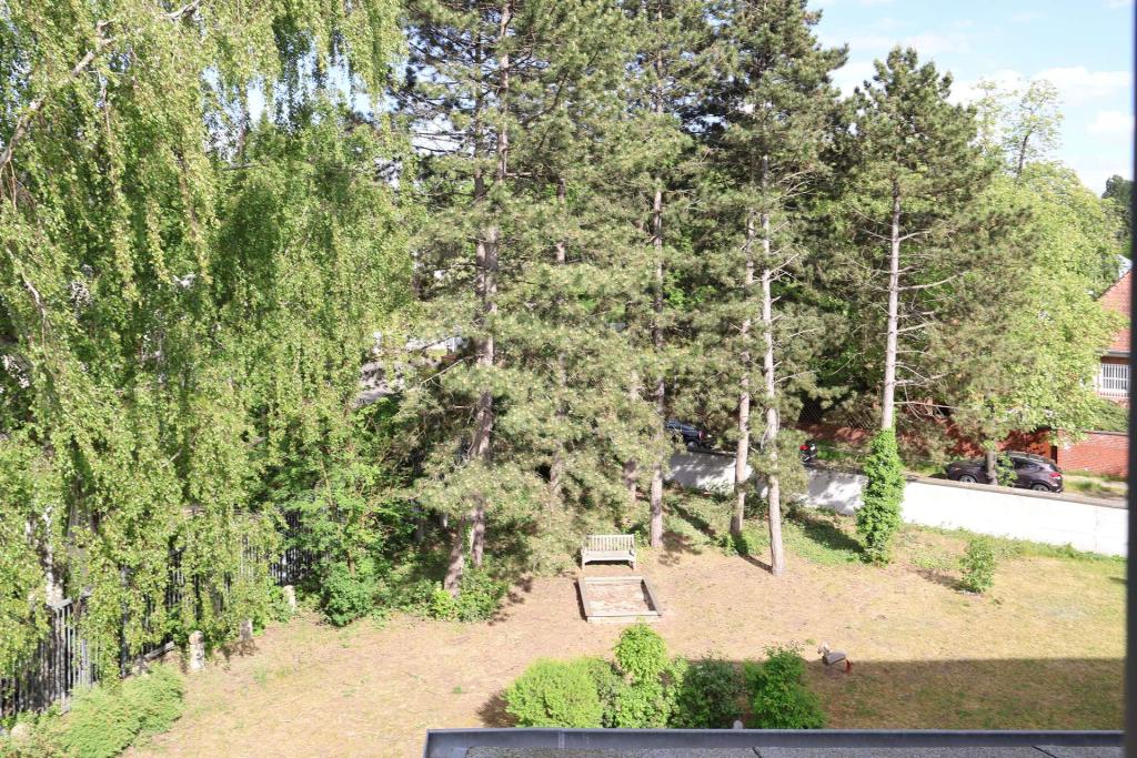Ausblick