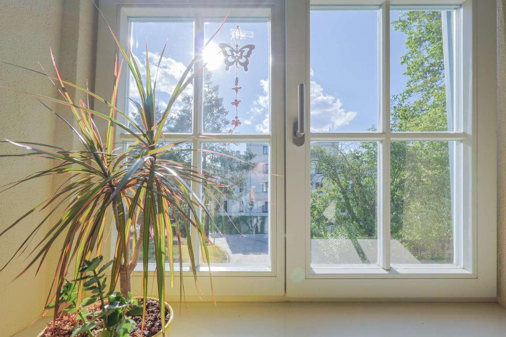 Blick Zimmer 2
