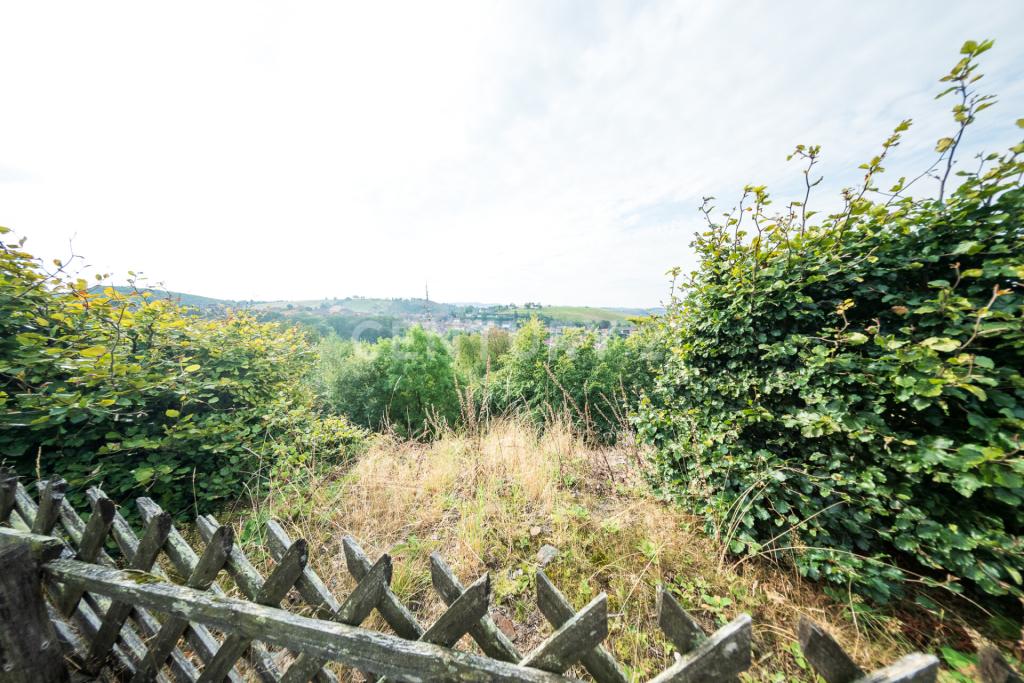 Blick aus den Garten