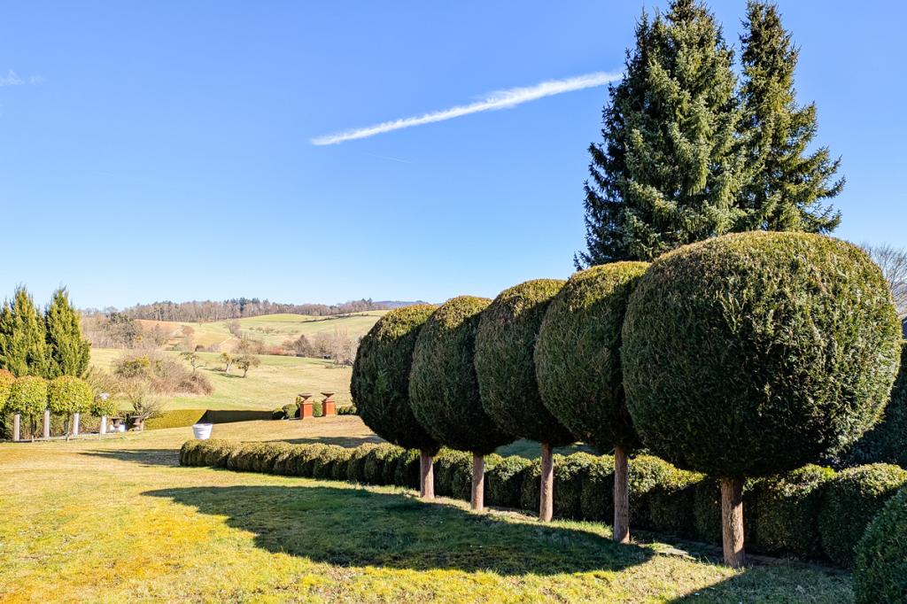Aussicht NO
