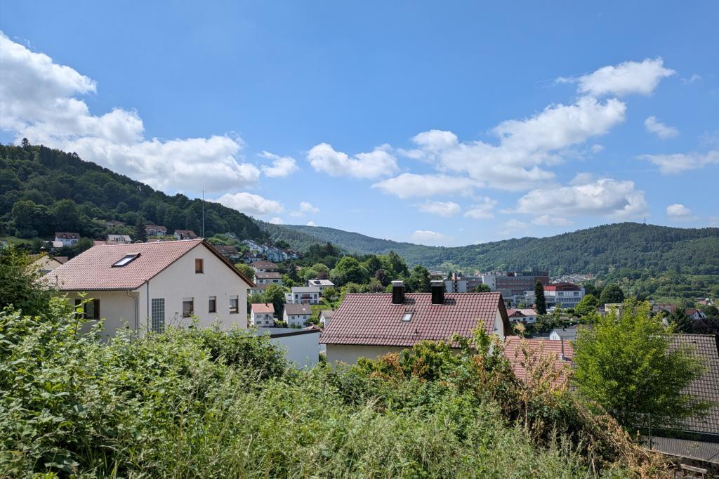 Ansicht-S