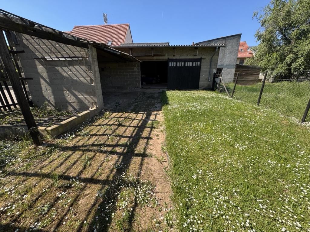 Garten 2