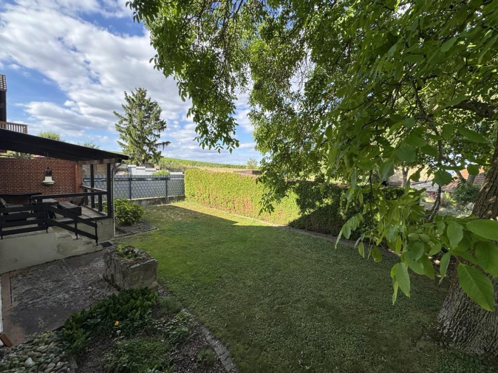 Garten 3