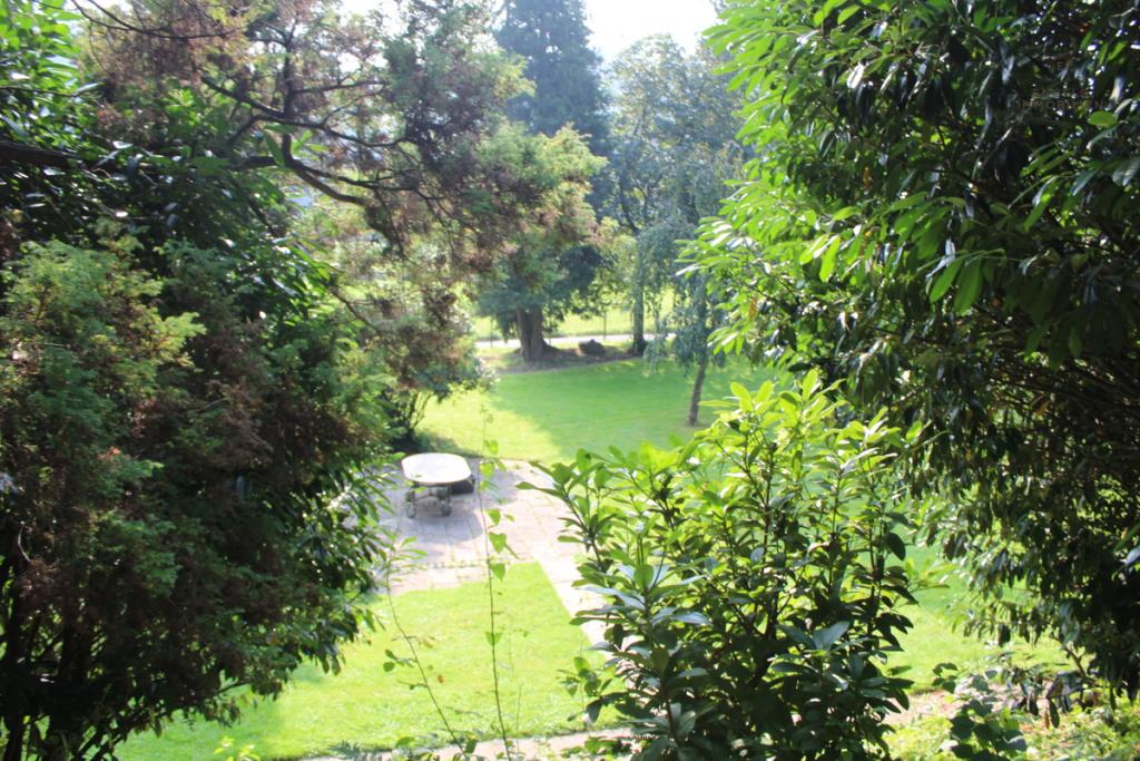 Blick vom eigenen Waldpfad auf die Aussenterrasse