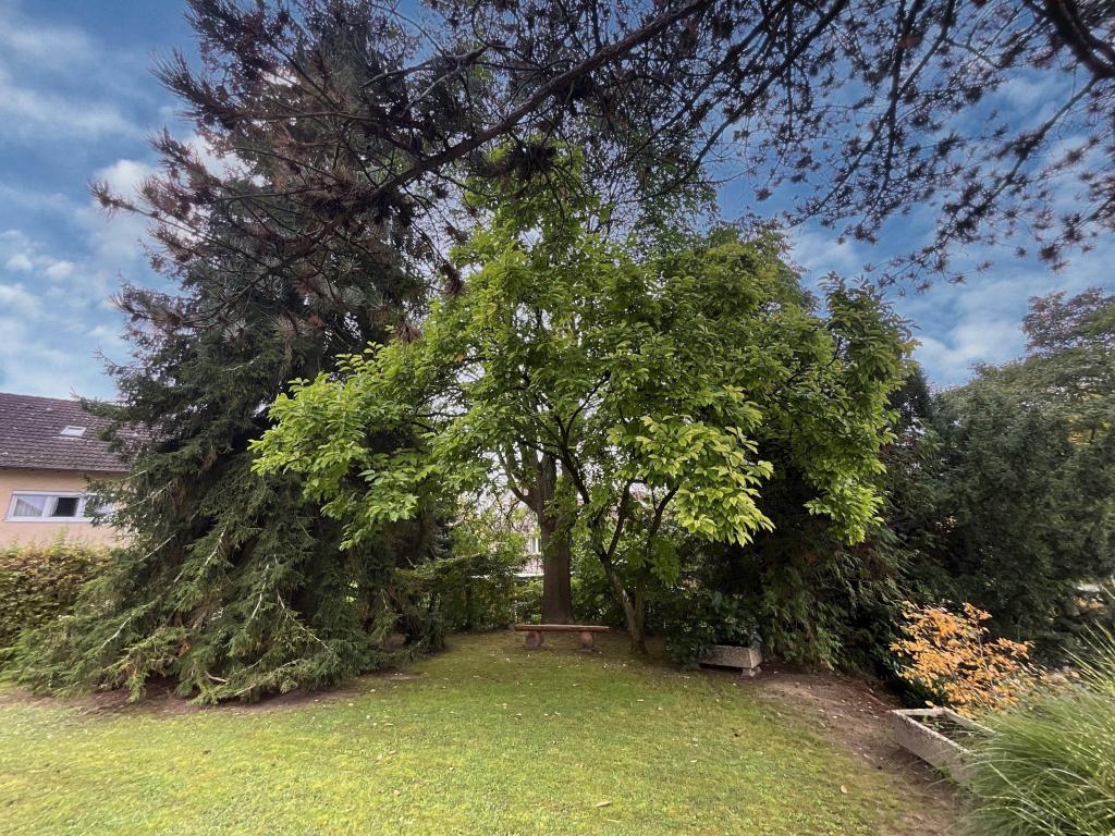 Vorgarten