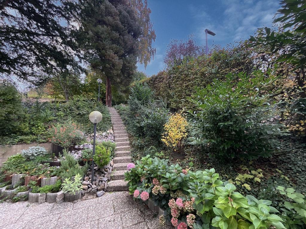 Zugang Garten