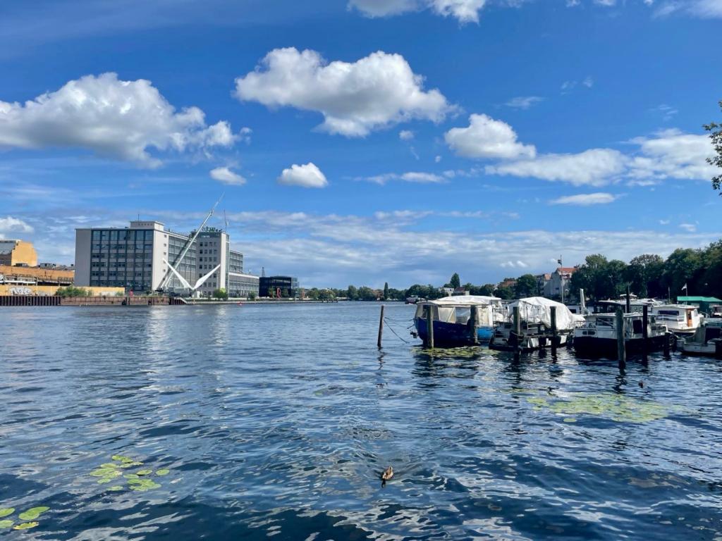 Blick auf die Spree
