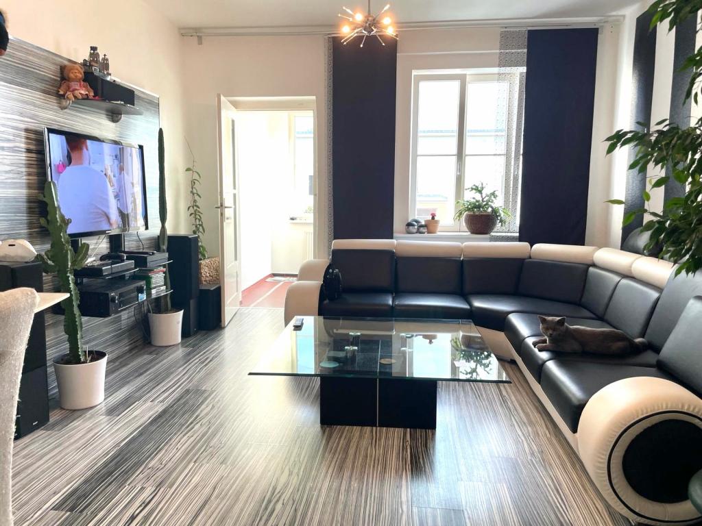 Wohnzimmer Fensterblick