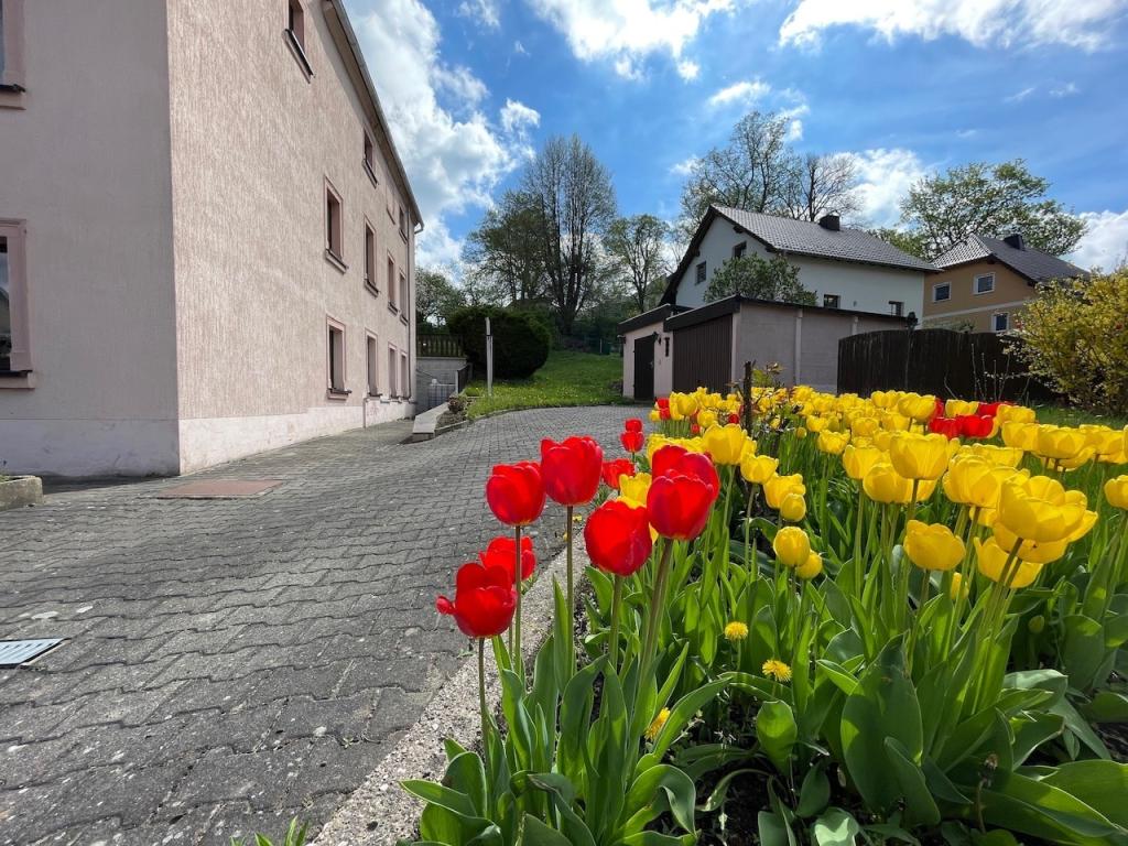 Blick in den Garten
