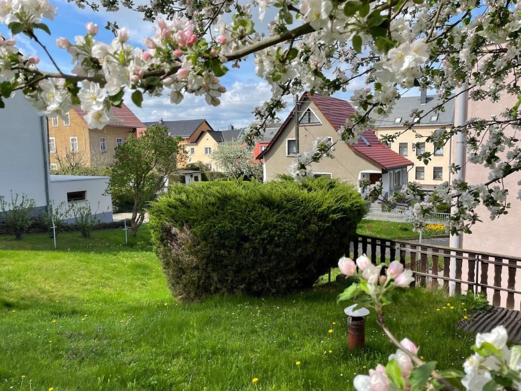 Blick in den Garten