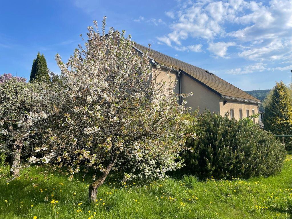 Außen Kirche_2