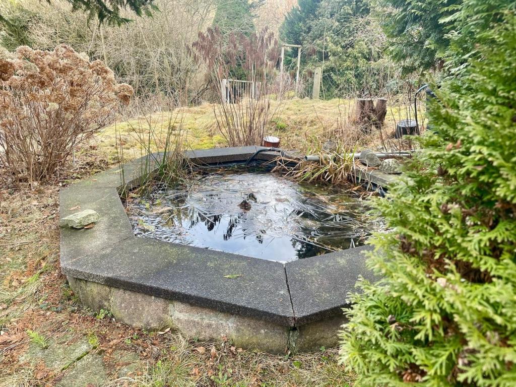Außen Garten_1