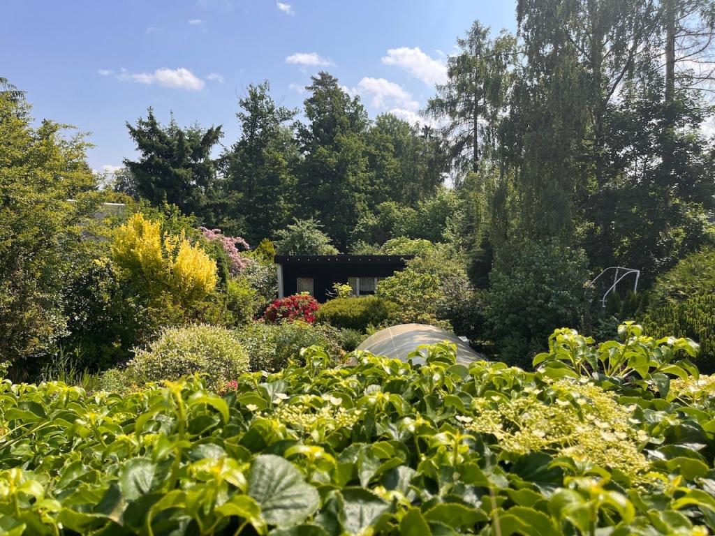 Blick in den Garten