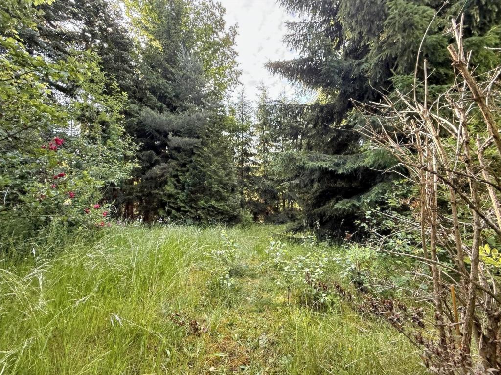 Grundstück