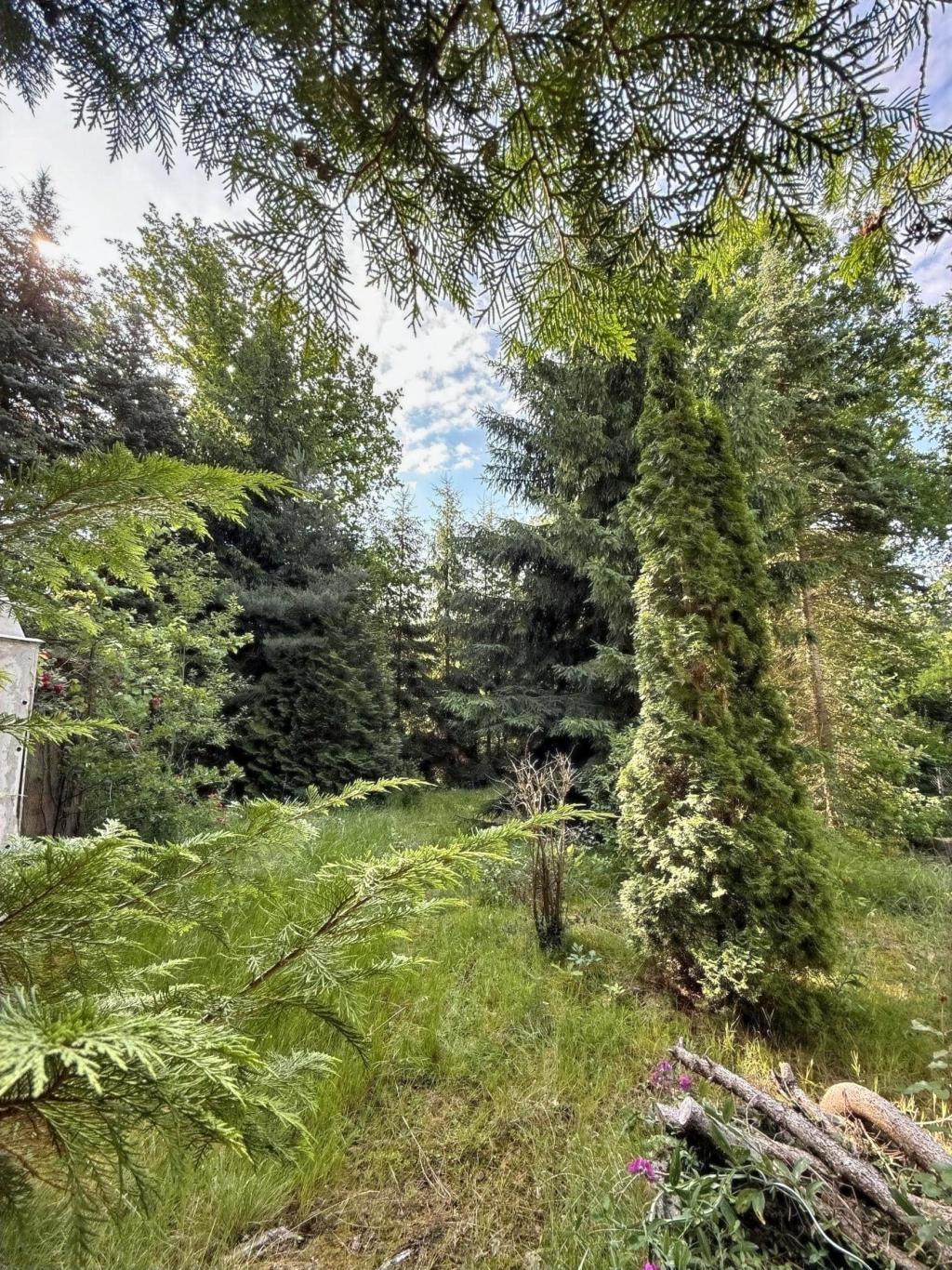 Blick ins Grundstück