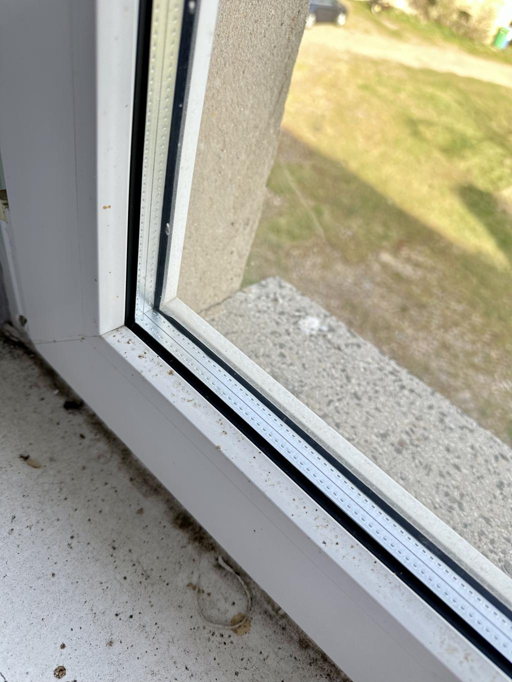 Fenster