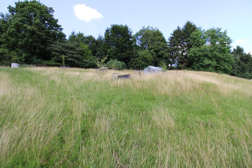 Landwirtschaftsfläche