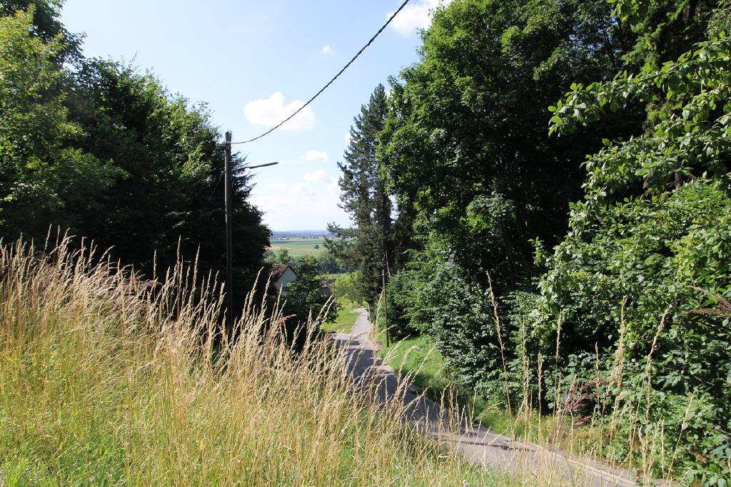 Aussicht / Anfahrt