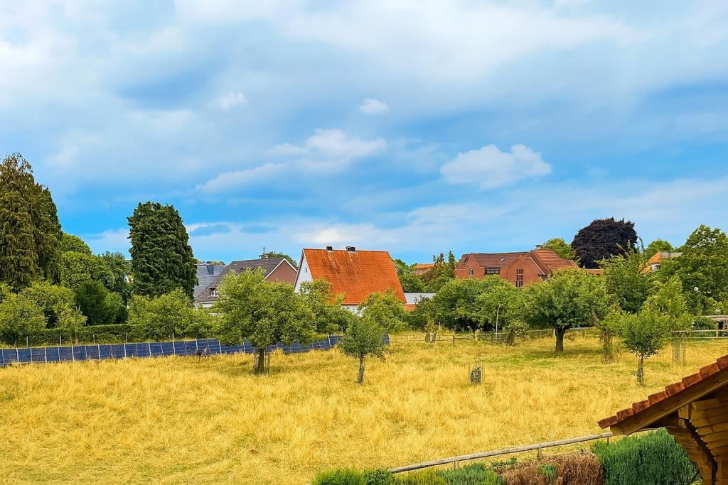 Blick auf die Wiese