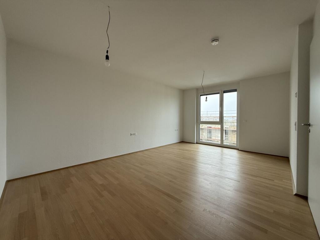4-Zimmer Neubauwohnung ab sofort frei! - Photo 2