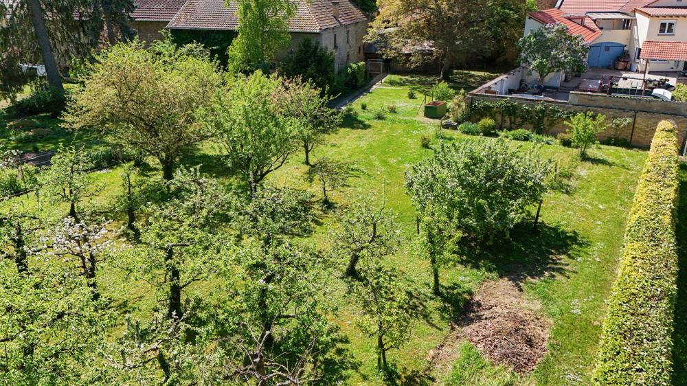 Obstgarten