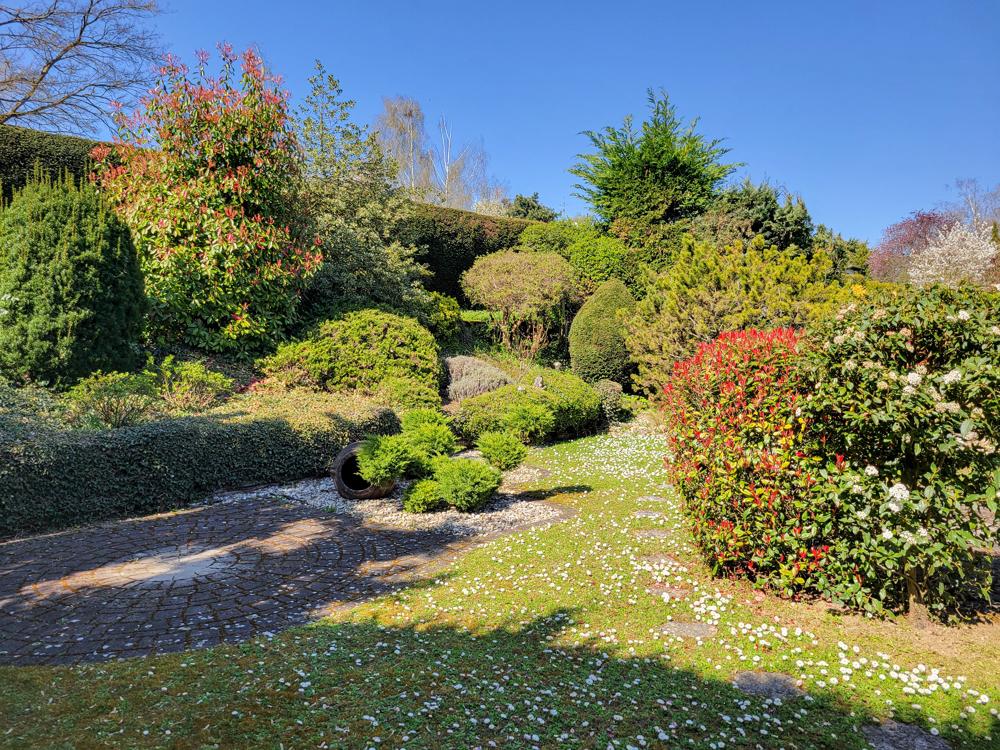 Garten 