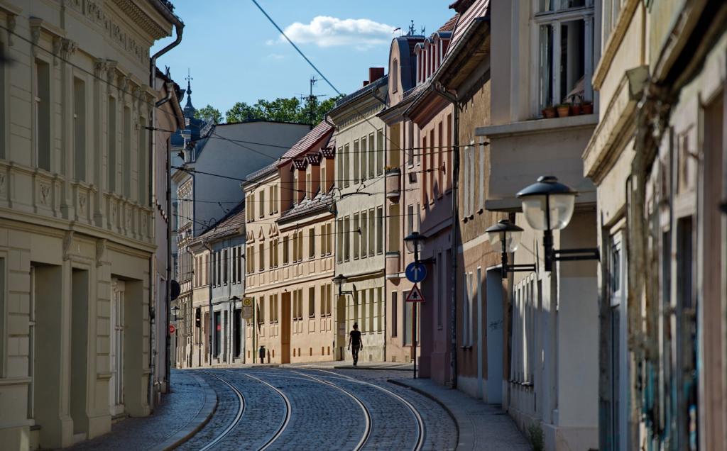 _29507063.jpg