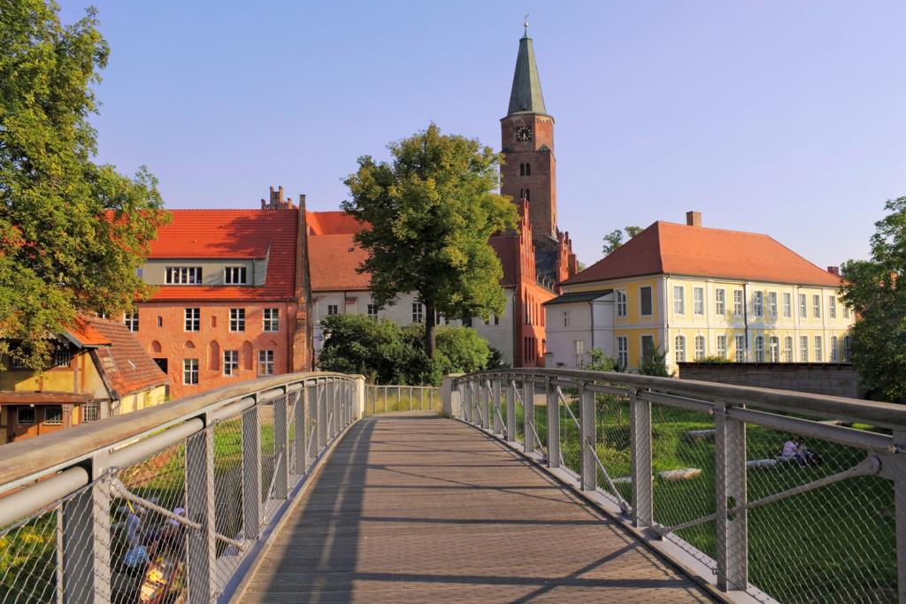 _29507065.jpg