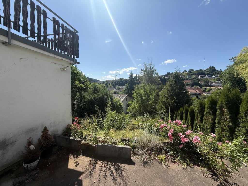 Blick in den Garten