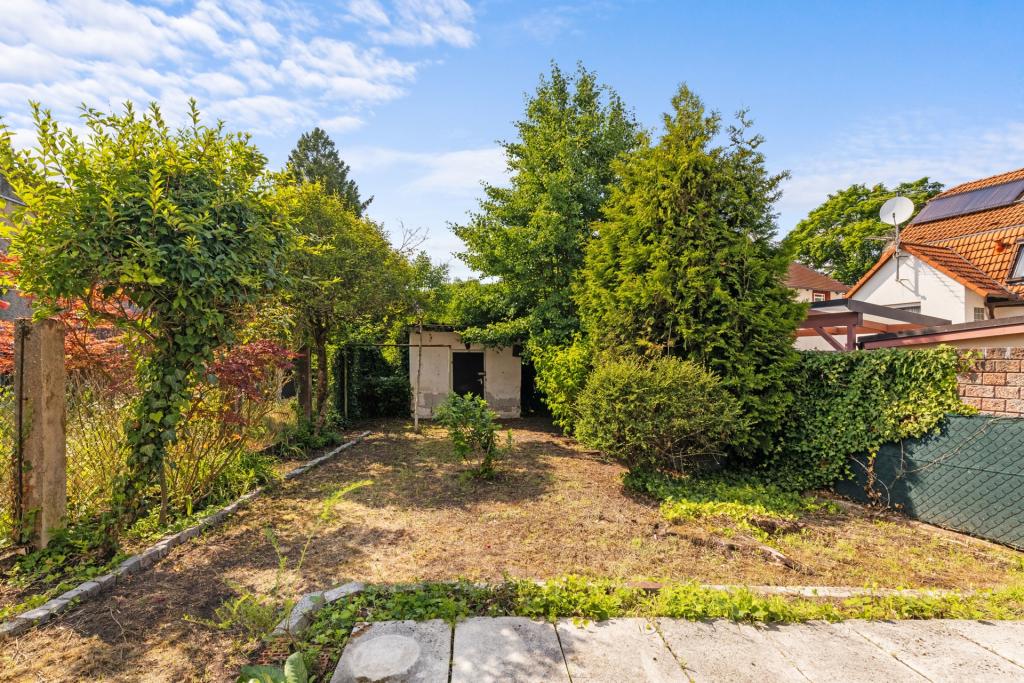 Blick in den Garten