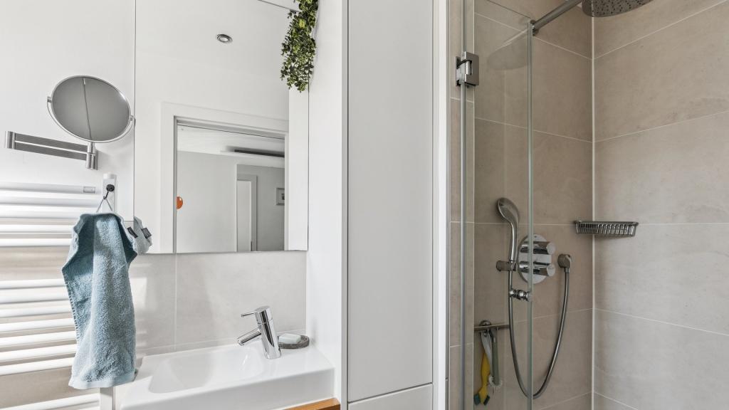 Gäste-WC mit Dusche EG