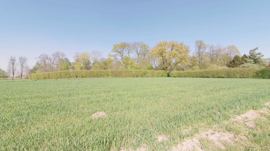 Schlosspark Kalkum Vis a Vis