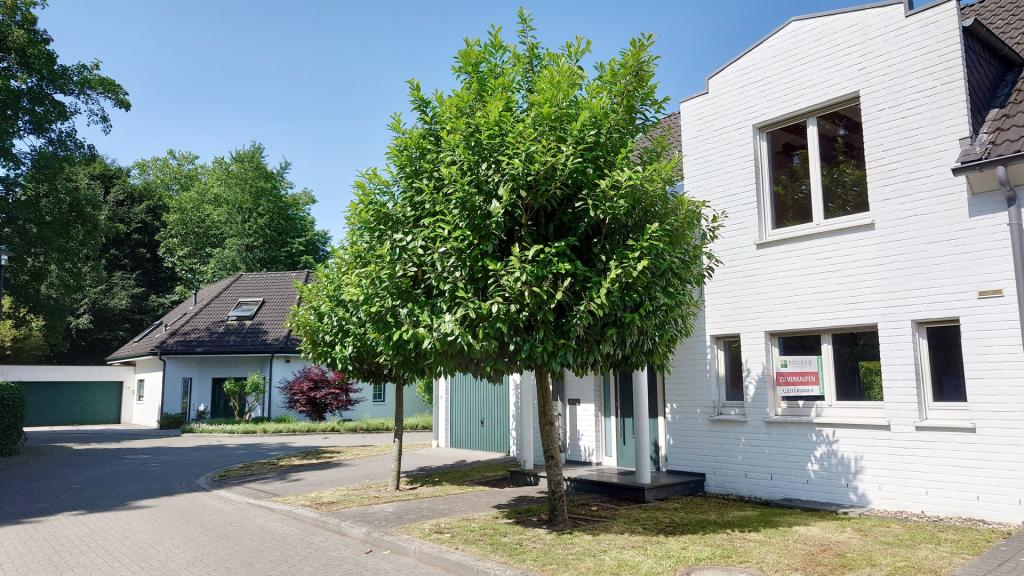 Frontansicht