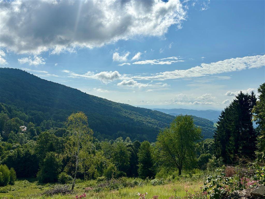Aussicht