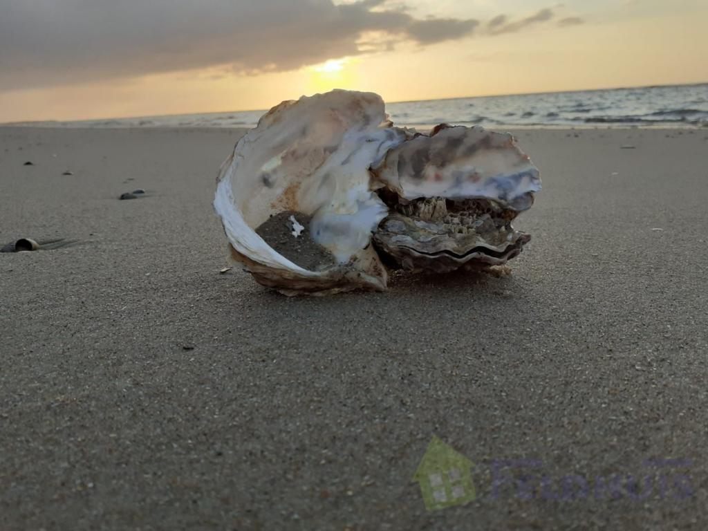 Norderney - Insel zum Verlieben
