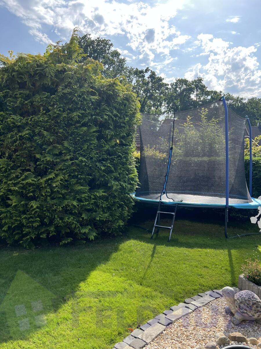 Garten Bild 1