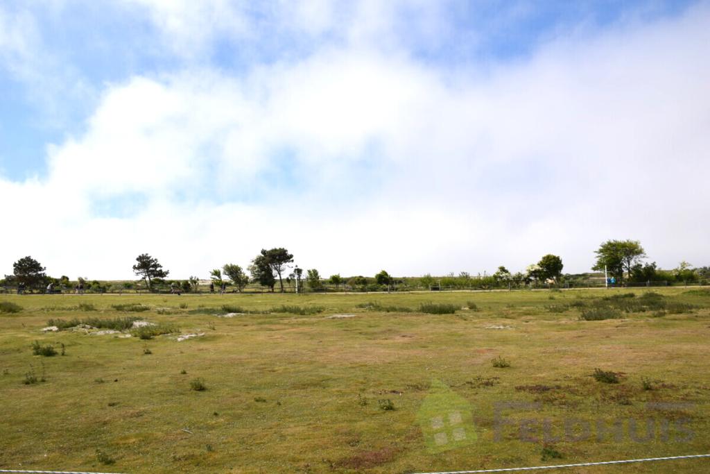 Idyllischer Blick auf den Weststrand Bild 1