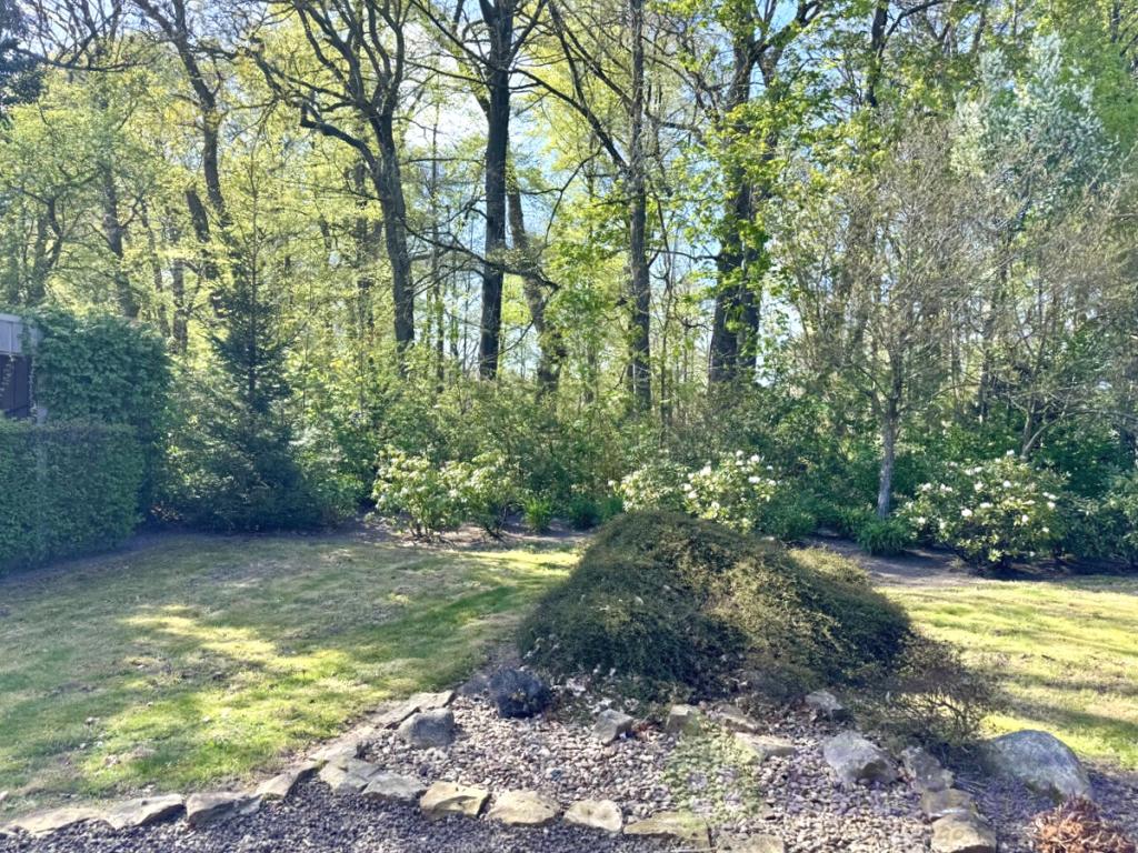 Wohnen am Philippsburger-Park! 3-Zimmer-Erdgeschosswohnung mit Terrasse in Leer-Loga - Photo 5