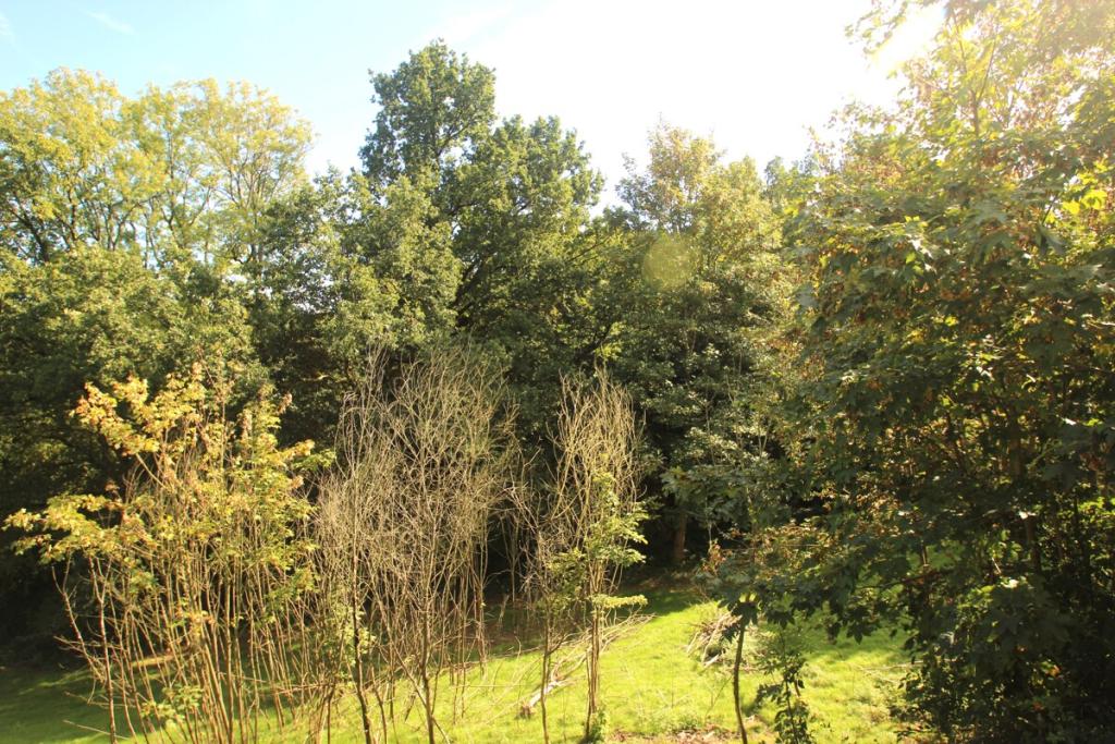 Urlaubsidylle das ganze Jahr 3-Zimmer-EG-Wohnung in Eitorf-Bohlscheid! - Foto 4