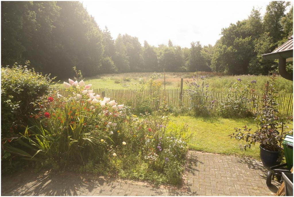 Aussicht vom Garten