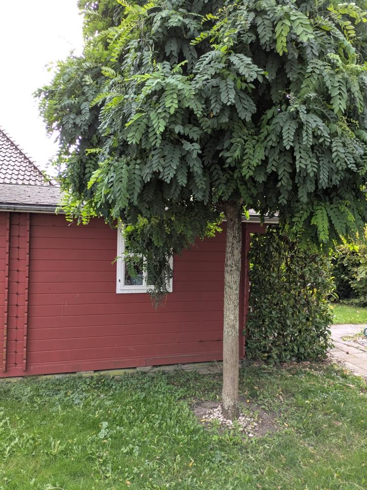 Geräteschuppen