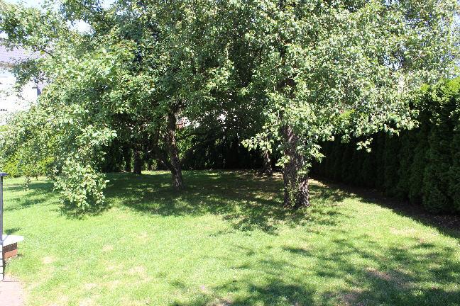 Bild4