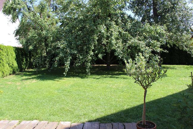Bild6